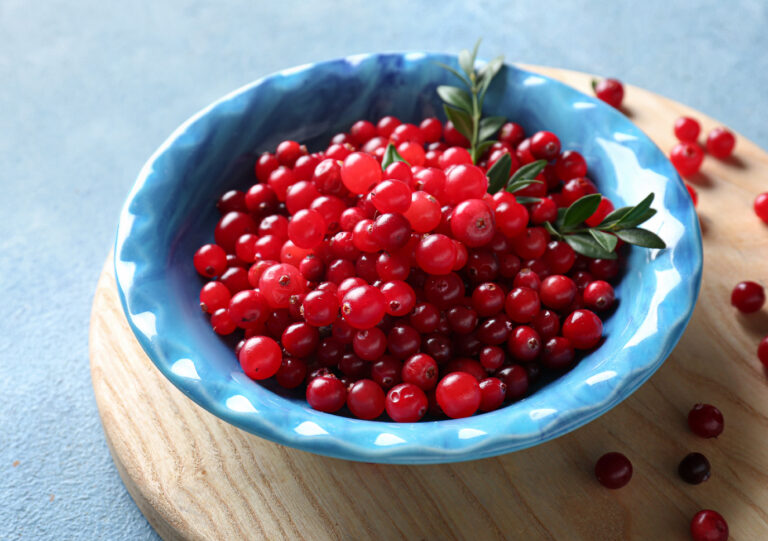 Lingonberry: Superfood Kecil yang Penuh Manfaat